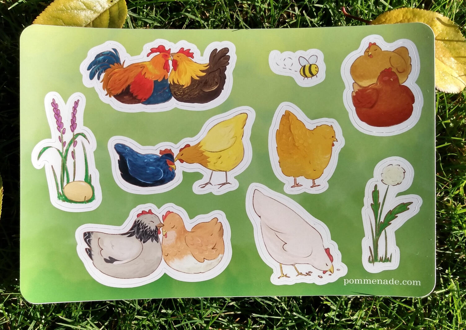 photo of a sticker sheet of illustrated chickens.